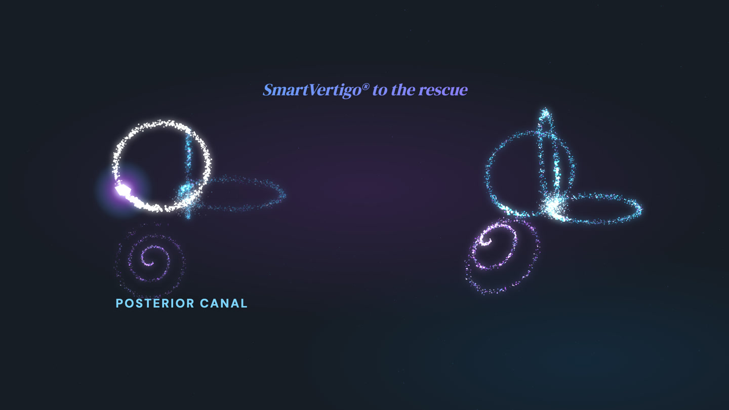 The inner ear drawn in points of light, the posterior canal lit